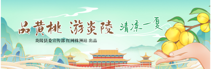 专题丨品黄桃 游炎陵 清凉一夏