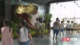 “科技+文化”双引擎融合创新！汝城科技馆打造沉浸式科普新体验