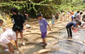 娄底避暑好去处丨从云端到绿野 三联峒暑期旅游热度持续攀升