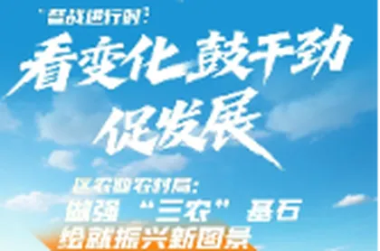 督战进行时丨看变化 鼓干劲 促发展 苏仙区农业农村局：做强 “三农” 基石  绘就振兴新图景